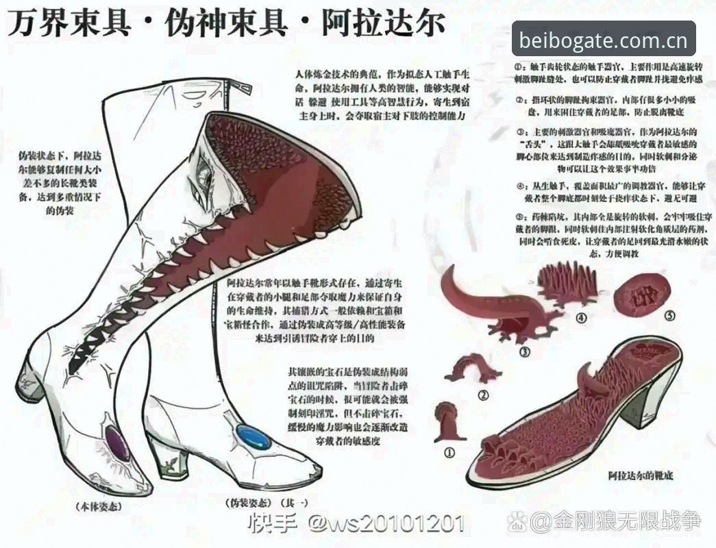 黑泽汀的草皮为何让人着迷？科达三连冠之路全面解析